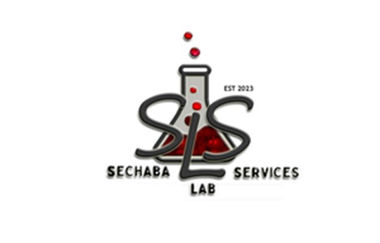 Client---De-Beers-Group